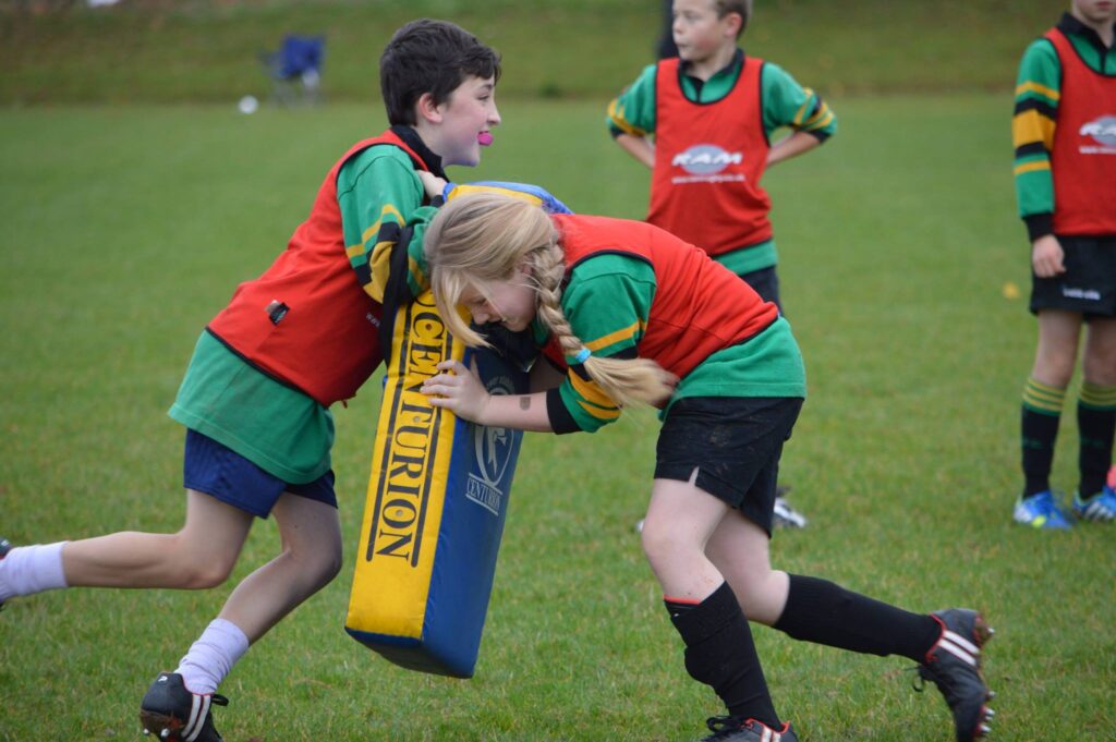 minis rugby at alresford rfc