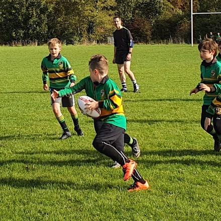 alresford rugby minis