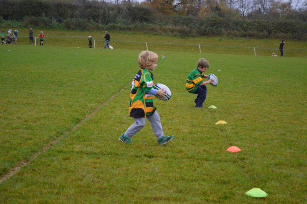 minis rugby at alresford rfc